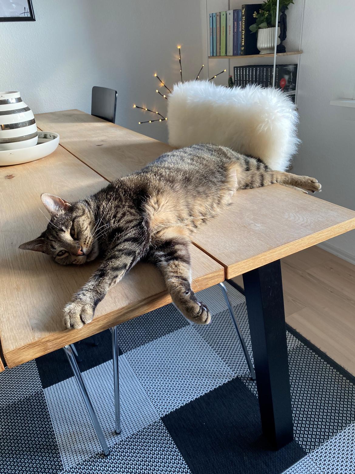 Huskat Gaia billede 1