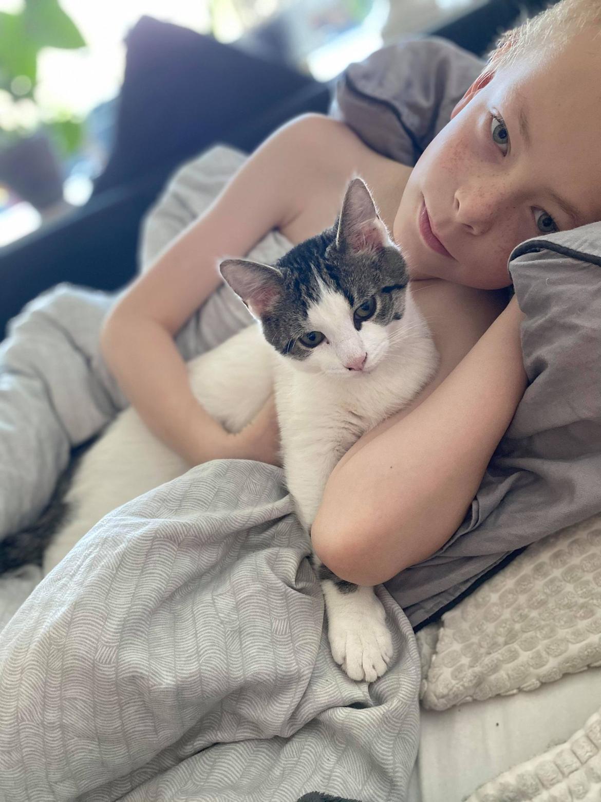 Huskat Louie billede 4