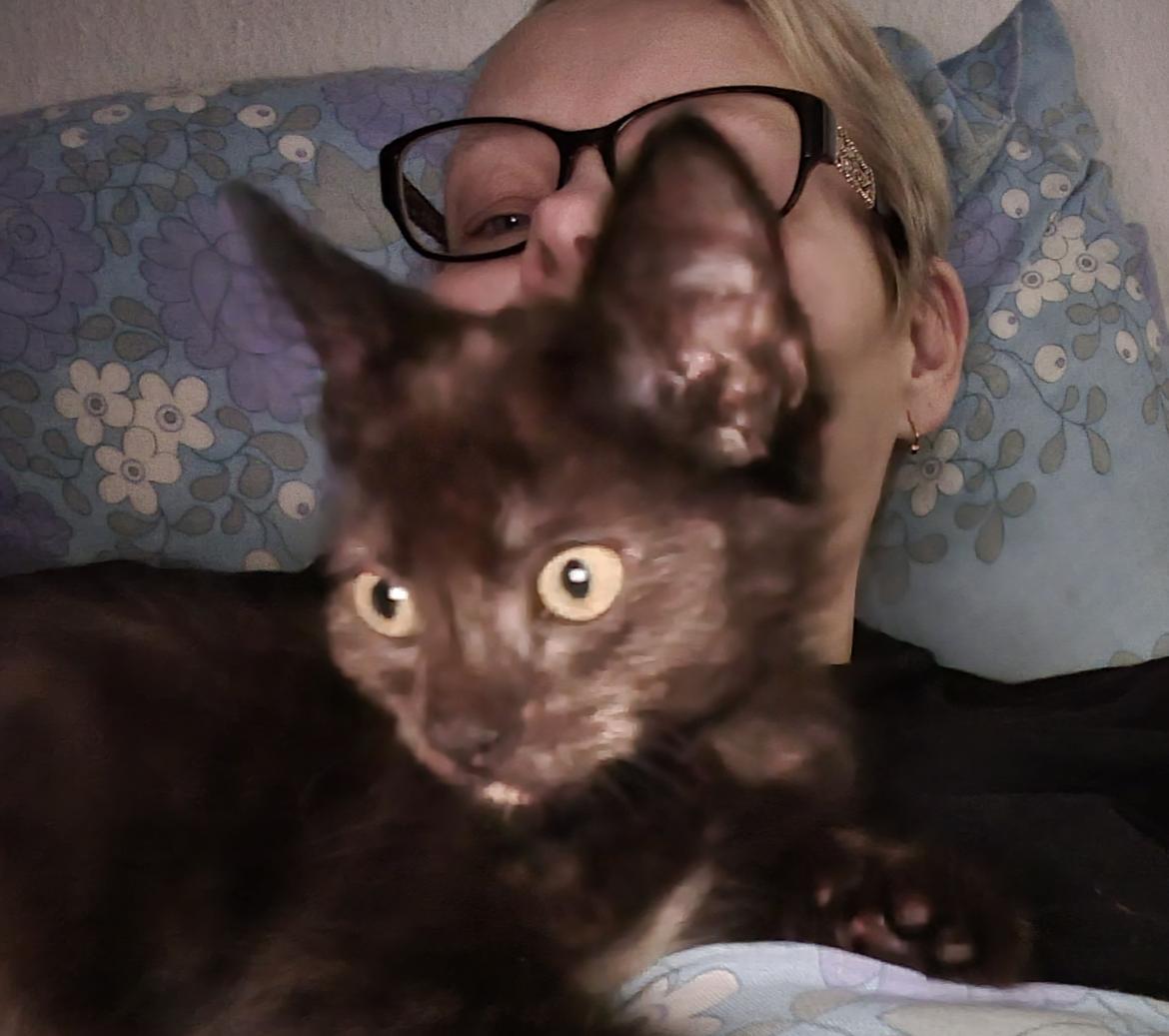 Huskat Vibeke billede 3