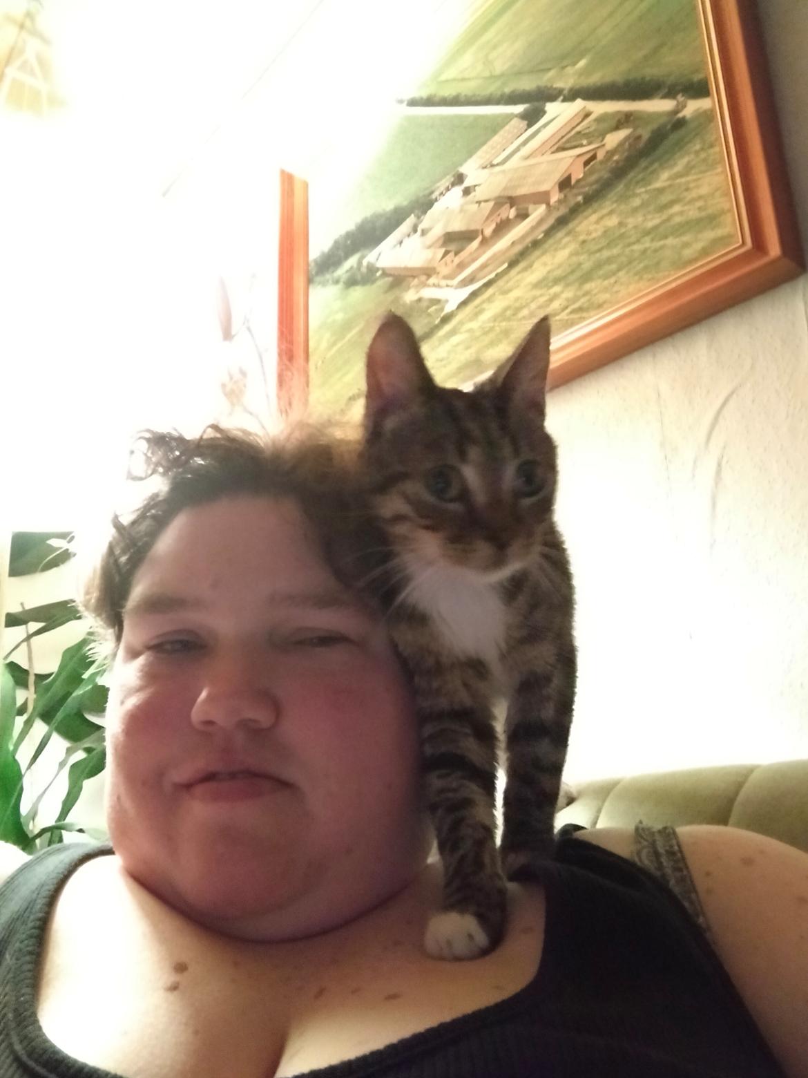 Huskat Lucky billede 16