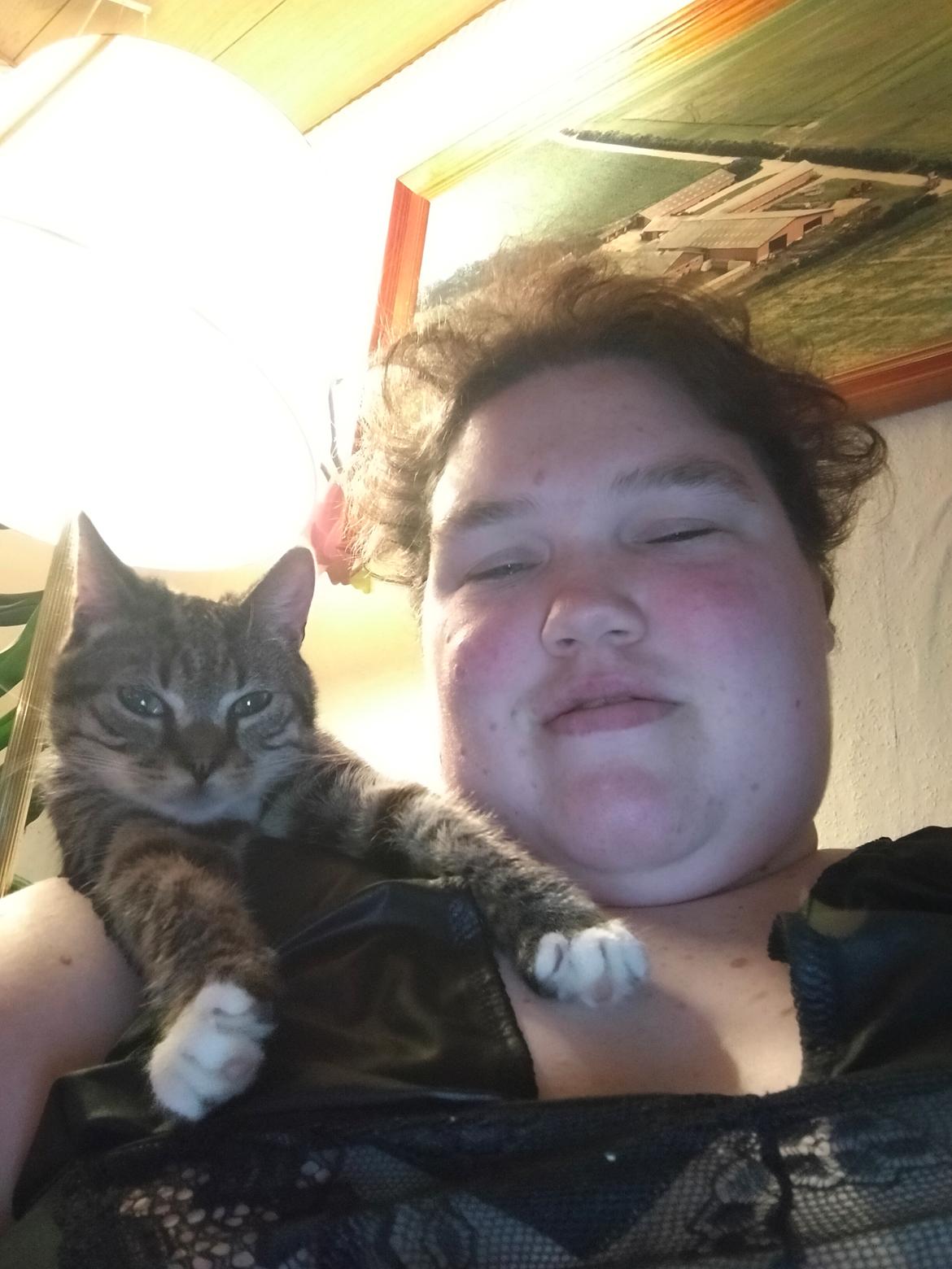 Huskat Lucky billede 25