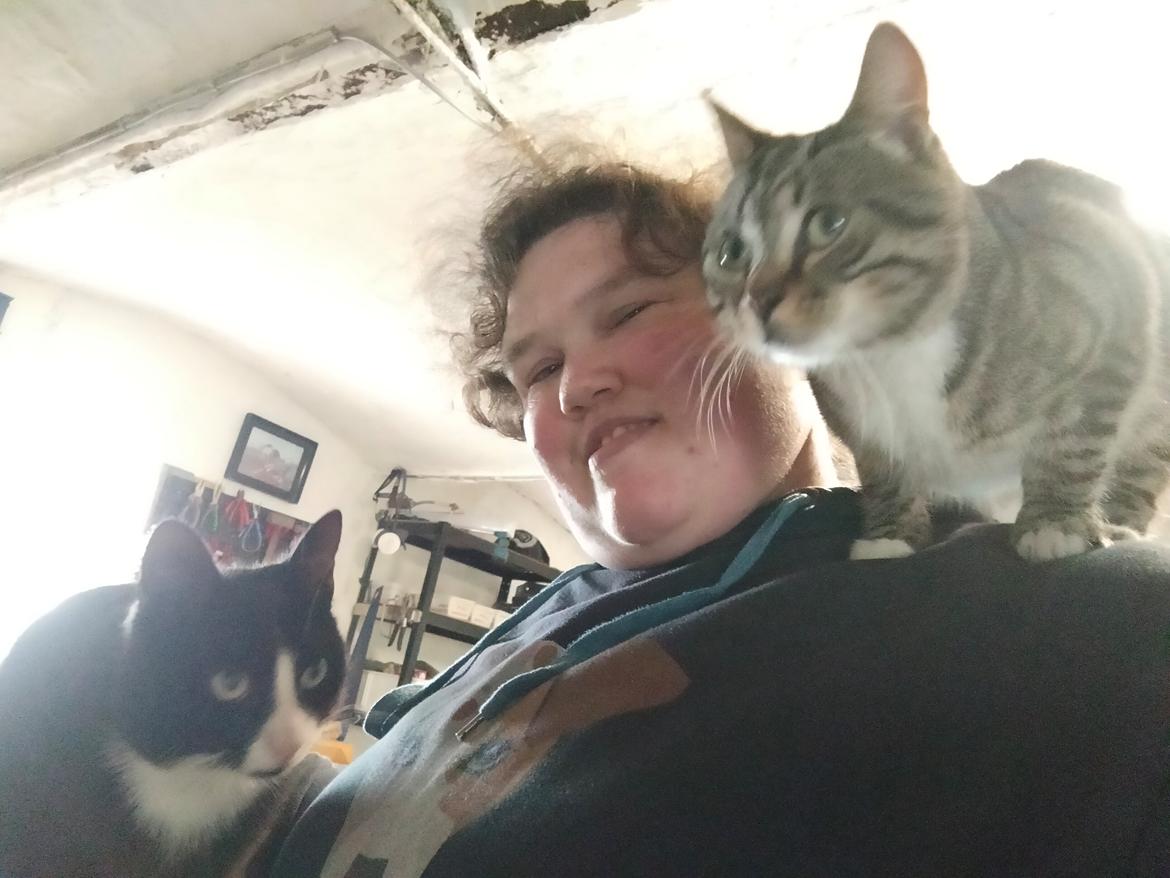 Huskat Lucky billede 43