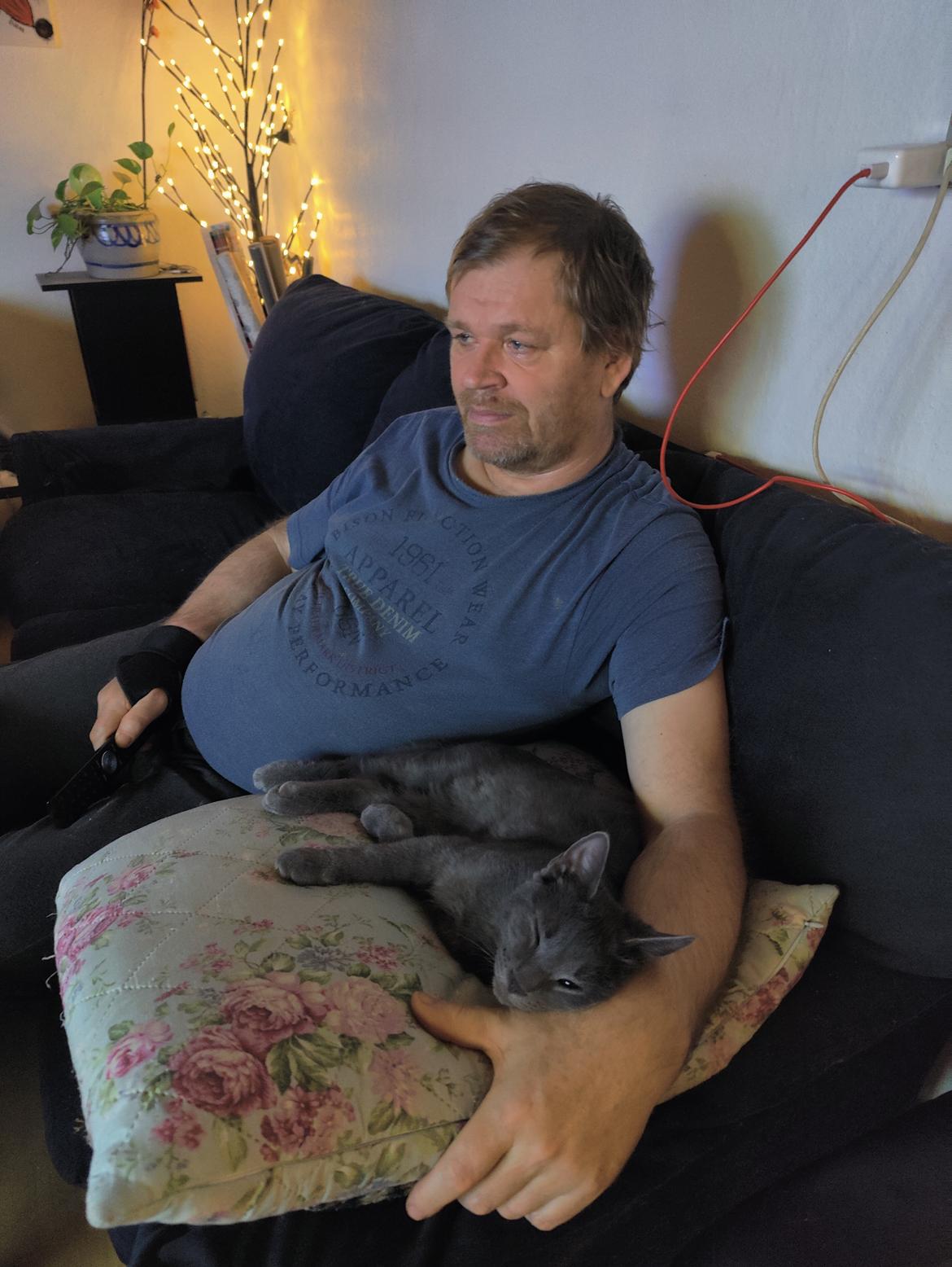 Huskat Axel billede 11