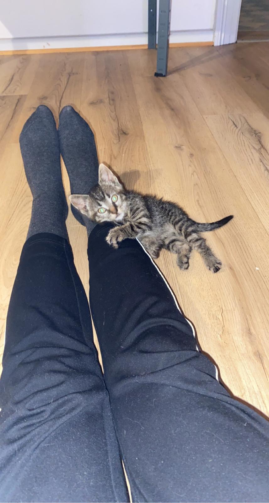 Huskat Fanta billede 1