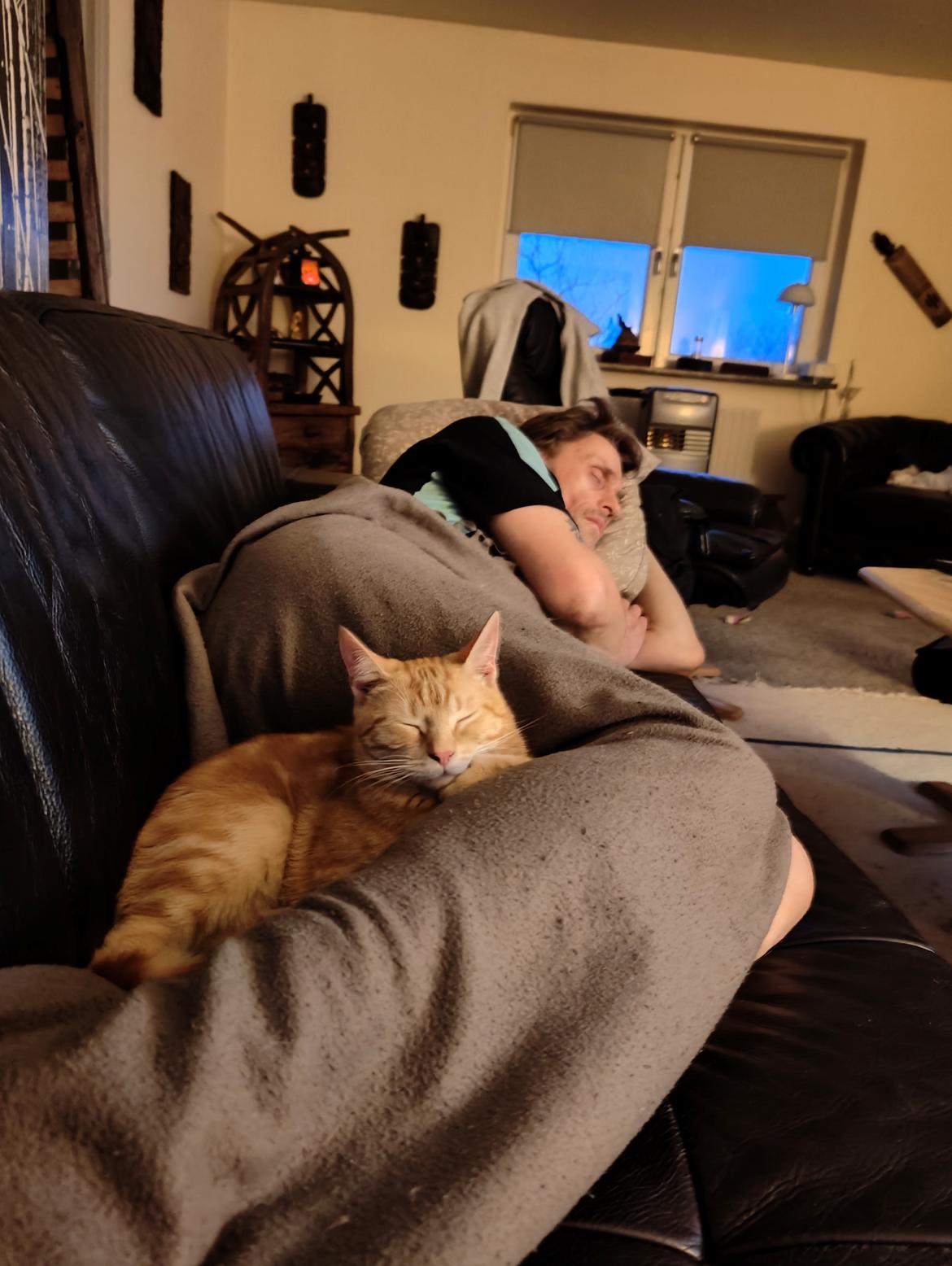 Huskat Inger billede 5