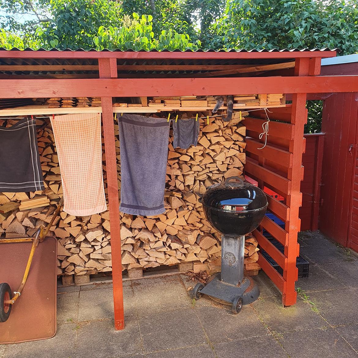 Huskat Agnes billede 12