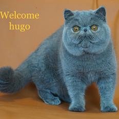 Exotic Lord Hugo Chapman Rivermill