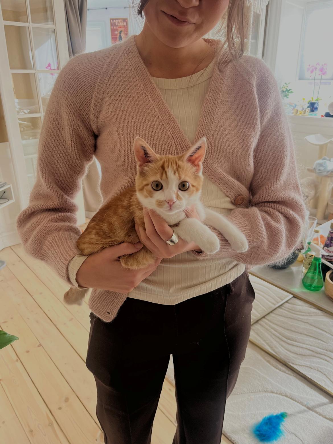 Huskat Pippi billede 17