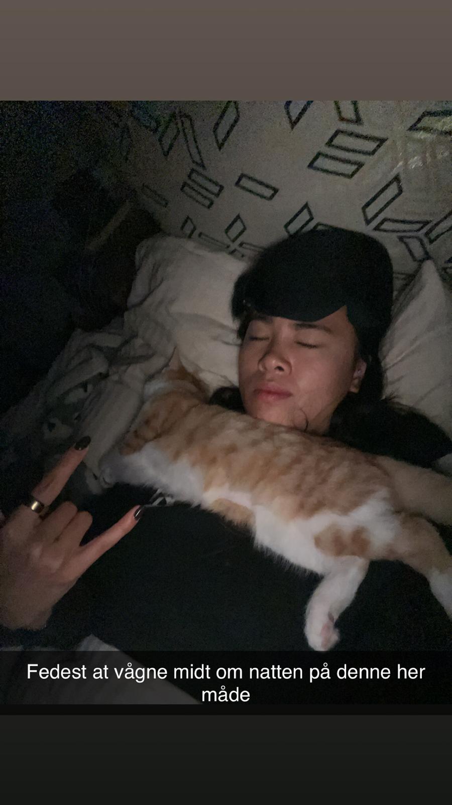 Huskat Pippi - Her ligger jeg da meget godt billede 16