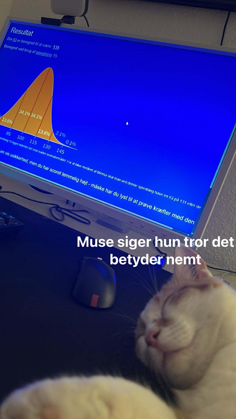 Huskat Pippi - "Work smart, not hard" IQ test med selv lukkede øjne billede 13