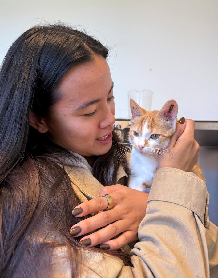 Huskat Pippi - Mit første møde med mit menneske billede 24