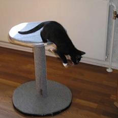 Blanding af racer Fister 