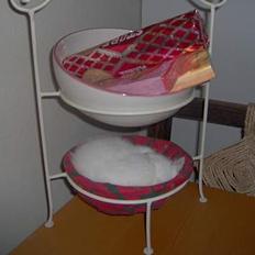 Huskat Miffe (døde d. 22/8)