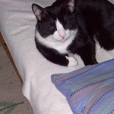 Blanding af racer Mons