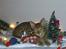 Ocicat Sea Coon Andi