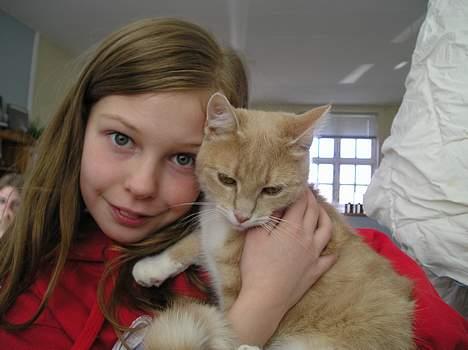 Blanding af racer Giffe (AFLIVET) - Jeg ville altså gerne ned på gulvet og lege, slip mig så, Lykke <3 billede 17