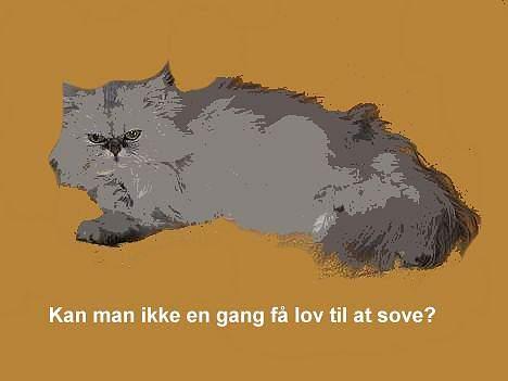 Blanding af racer Putte billede 11