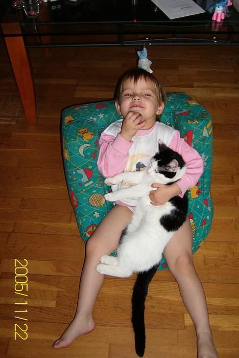 Huskat Molly **Død 29 maj 2006** billede 2