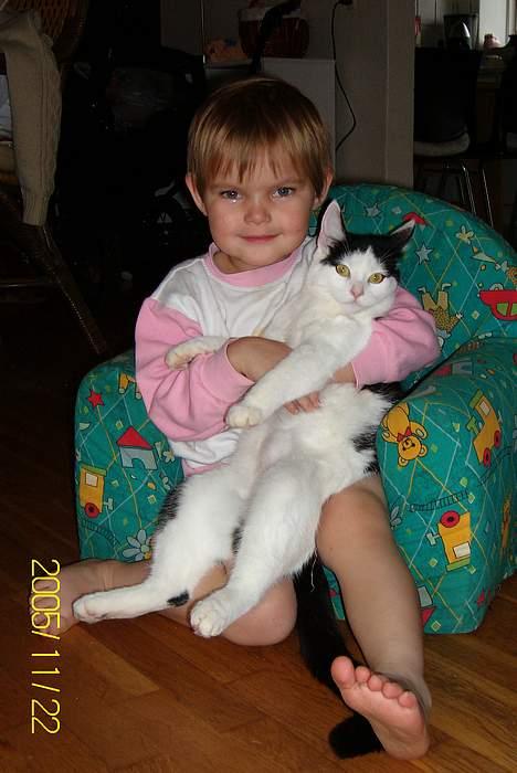 Huskat Molly **Død 29 maj 2006** billede 4