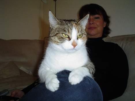 Blanding af racer Mitte - Mitte og sin mor billede 4