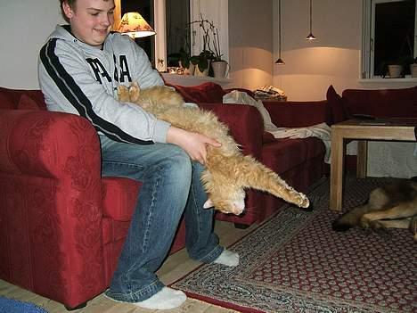 Huskat Miko - ja, så tar`vi lige en strækker,det er det trick miko kan. Og kun med Kasper. billede 11