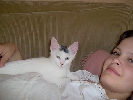 Huskat Miffe (døde d. 22/8) billede 7