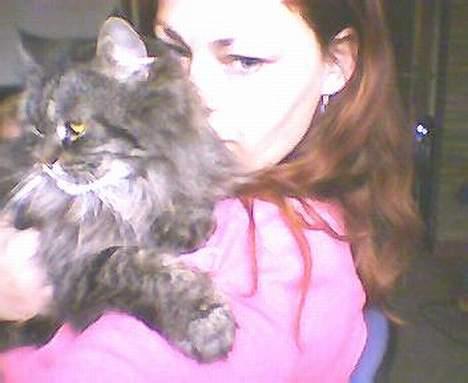 Blanding af racer willow - endnu et af willow på moes arm  og så et lille møz billede 5