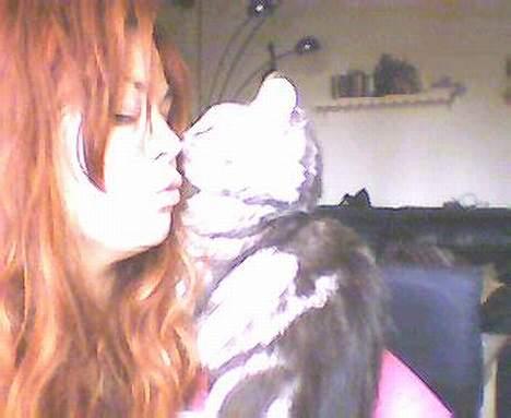 Norsk Skovkat kida - ja hun elsker at hænge på skulder og at kysse billede 7