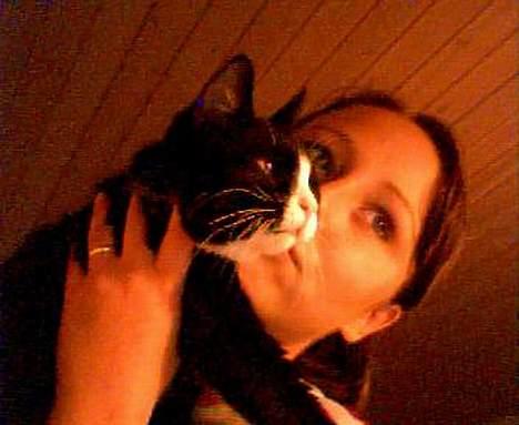 Huskat Agger billede 2