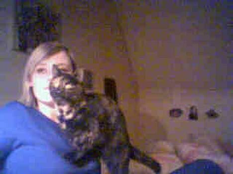 Huskat Molly - Molly er også interesseret i computer :-D billede 4