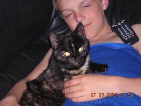 Blanding af racer nusser#død# billede 12