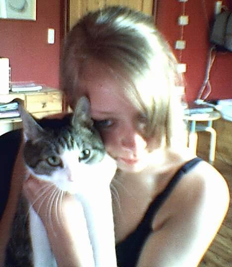 Huskat Bettemis - Jeg elsker hende meget billede 16