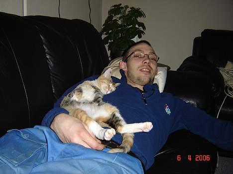 Huskat Lille Mis - de kalder mig også puttegrisen billede 4