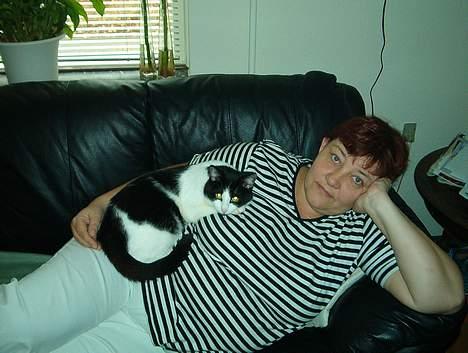 Huskat Badisse - Så er der hygge med mor billede 11