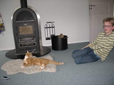 Huskat Oliver  R.I.P d.16-10-06  - Her ser I så mig og min "far". billede 7