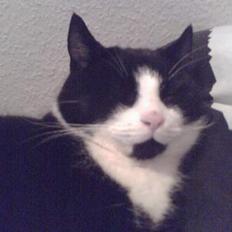 Blanding af racer Manse (Død) R.I.P