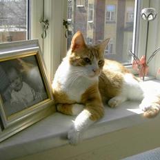 Huskat Pierre *R.I.P* :(