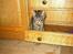 Huskat Feline - Kat i skuffe :)