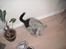 Huskat Gaia - Mmm... en NY taske!