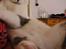 Huskat Timmay
