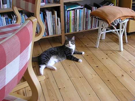 Blanding af racer Frederik - Hvilken bog skal jeg mon læse???  billede 12