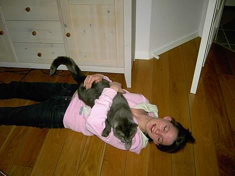 Huskat Musti - åh her lå vi jo så på gulvet til min fødselsdag. den fødselsdag glemmer jeg aldrig! billede 4