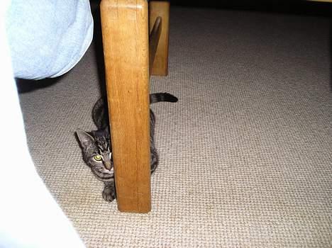 Huskat Valde - Her er der hvor jeg helt lille!!! billede 12