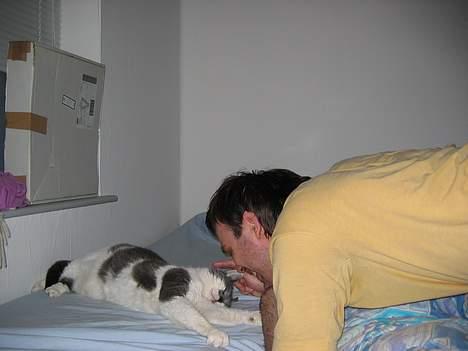 Huskat Vildkat - "Aj lad mig nu sove!!" billede 5