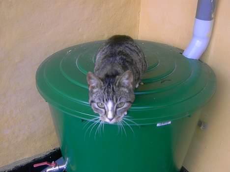 Huskat spiti - aaaaa dar er langt ned  billede 2