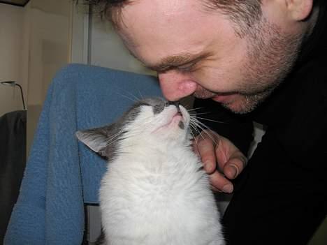 Huskat Vildkat - "Elsker at blive nysset!" billede 9