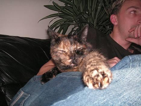 Huskat Gaia - Jeg styrer (dec 2006) billede 3