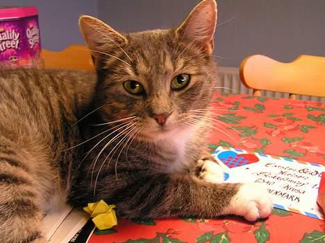 Huskat Nifling/Niffe - Jeg hjælper lige mor og far med posten billede 12