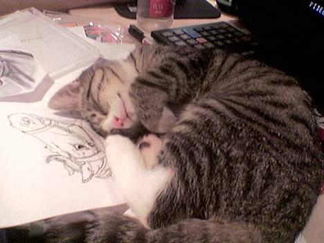 Huskat Sofus <3 - jeg er jo lækker . billede 7