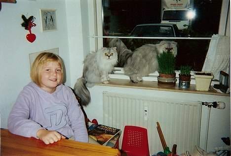 Blanding af racer Laban billede 15